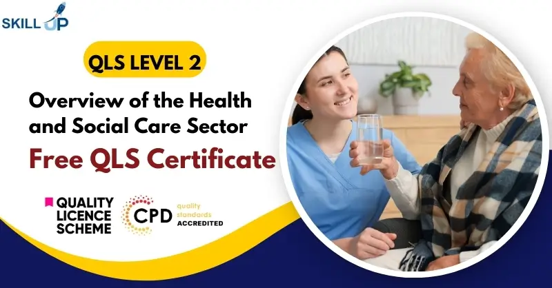 Overview of the Health and Social Care Sector with Free Certificate