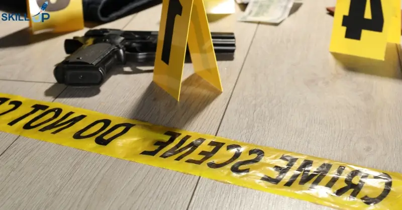 Criminal Intelligence Analyst