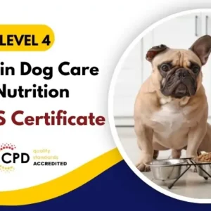 Diploma in Dog Care and Pet Nutrition with Free Certificate