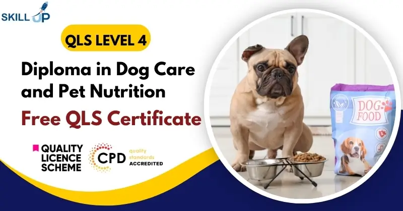 Diploma in Dog Care and Pet Nutrition with Free Certificate