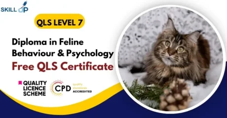 Diploma in Feline Behaviour & Psychology with Free Certificate