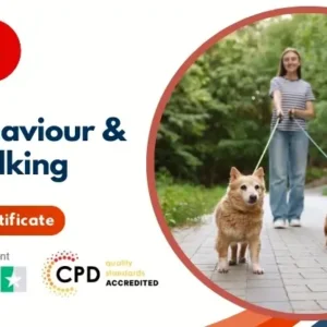 Dog Behaviour & Dog Walking - CPD Certified Diploma