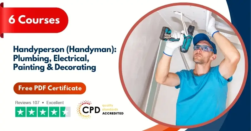 Handyperson (Handyman) Plumbing, Electrical, Painting & Decorating