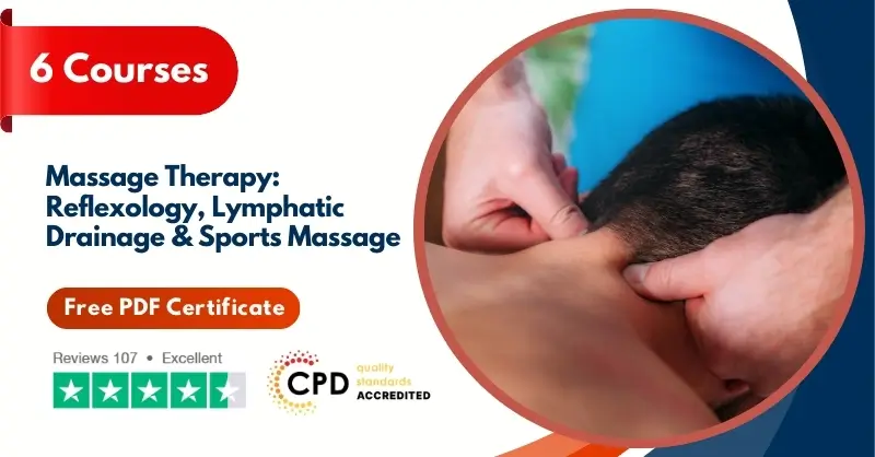 Massage Therapy Reflexology, Lymphatic Drainage & Sports Massage